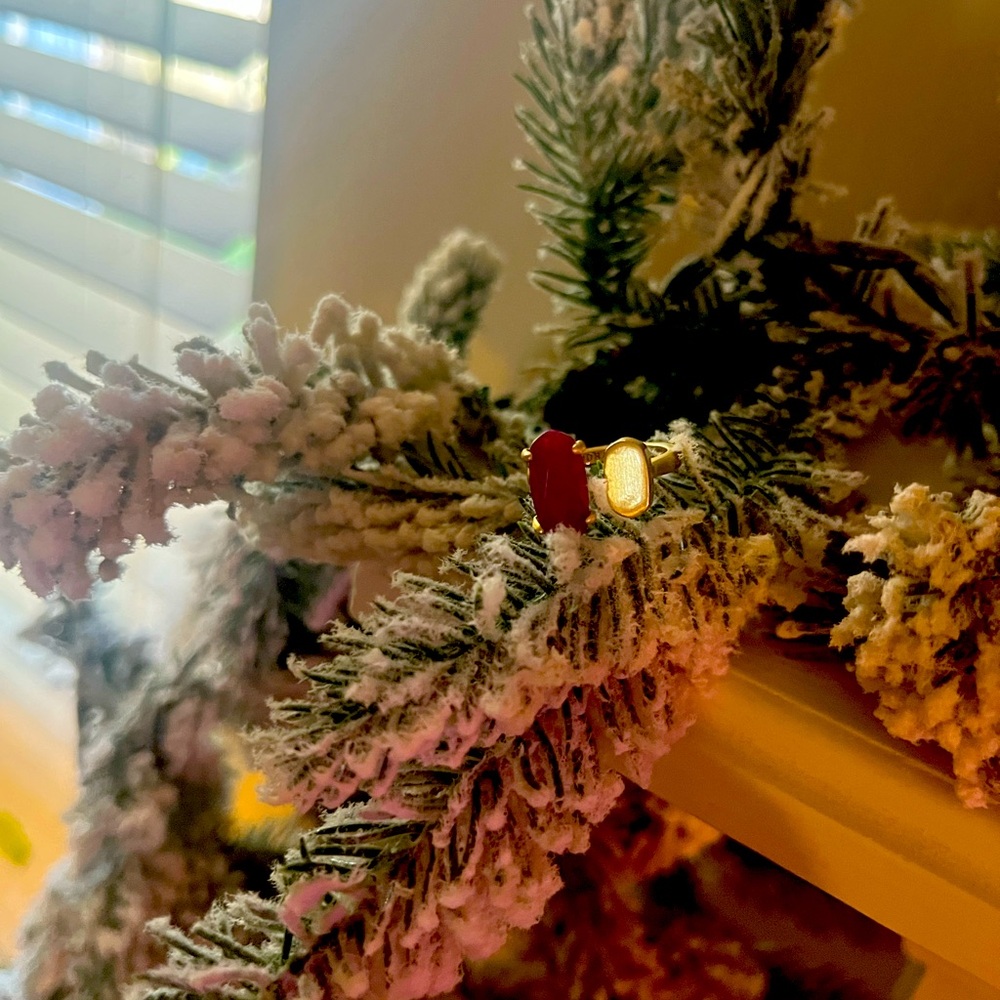Festive Red and Gold Holiday Ornament